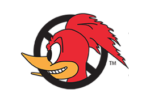 Reparasjonssystem for hakkespetthull I-Pole Woodpecker - IFOAM