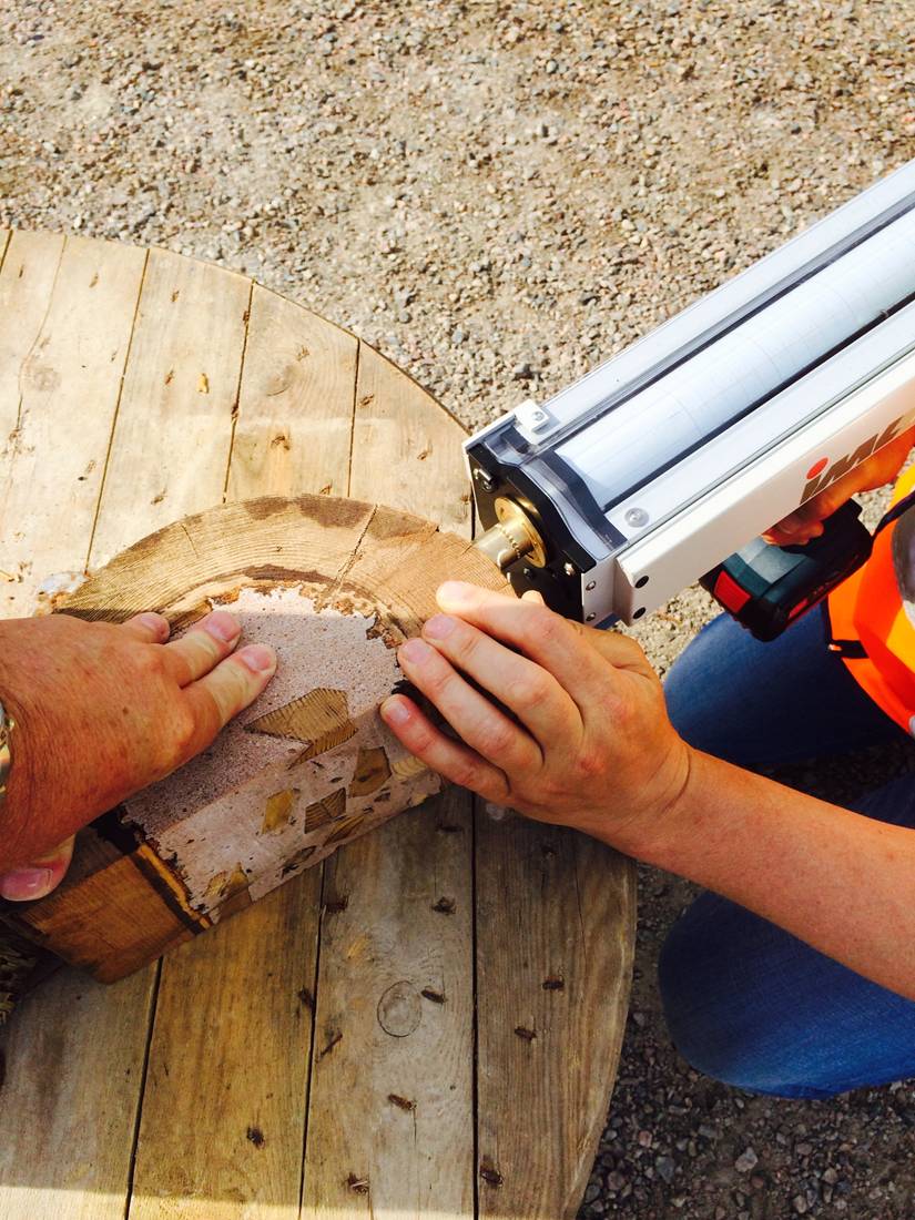 Reparasjonssystem for hakkespetthull I-Pole Woodpecker - IFOAM - Bilde 7