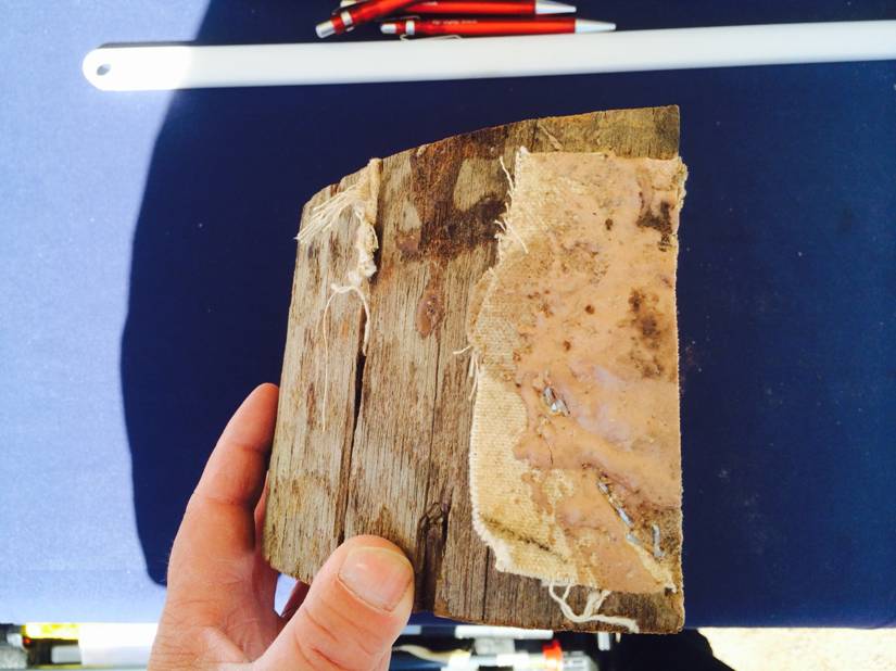 Reparasjonssystem for hakkespetthull I-Pole Woodpecker - IFOAM - Bilde 6