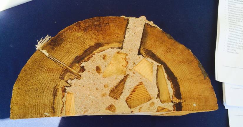 Reparasjonssystem for hakkespetthull I-Pole Woodpecker - IFOAM - Bilde 2