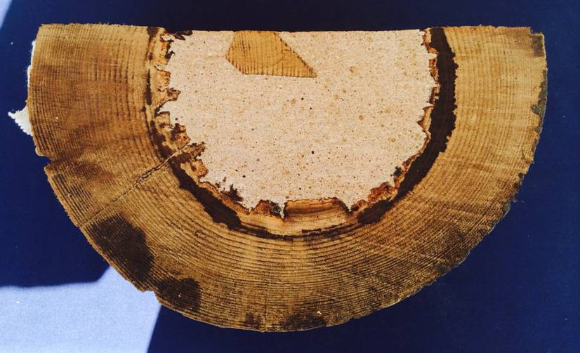 Reparasjonssystem for hakkespetthull I-Pole Woodpecker - IFOAM - Bilde 3