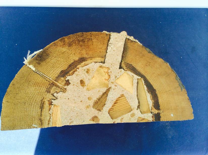 Reparasjonssystem for hakkespetthull I-Pole Woodpecker - IFOAM - Bilde 4